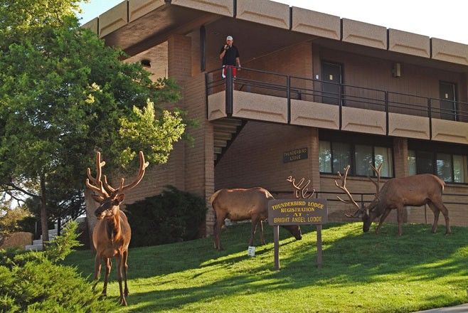 Kachina Lodge Gran Cañón Exterior foto